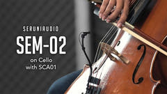 SCA01 Cello Accessory Set