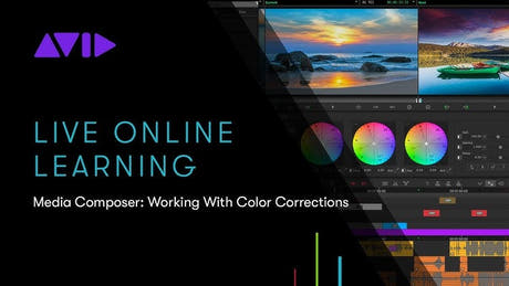 Media Composer Ultimate Subscription NEW