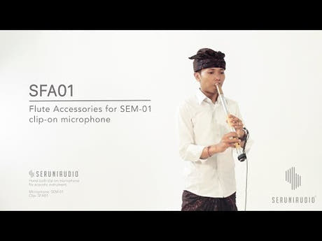 SFA01 Flute Accessory Set