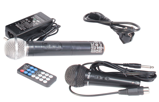 Ibiza BT8HH Transportabel Festhøjttaler