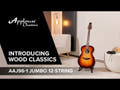 Applause Acoustic Guitar Wood Classics AAJ96-1 Jumbo 12-string - Sunburst (AAJ96-1)