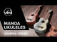 GEWA Soprano ukulele Manoa Surf Style - Soprano (Pacific Lagoon)