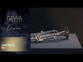 GEWA Vision TR272 Bb-trompet, klarlak