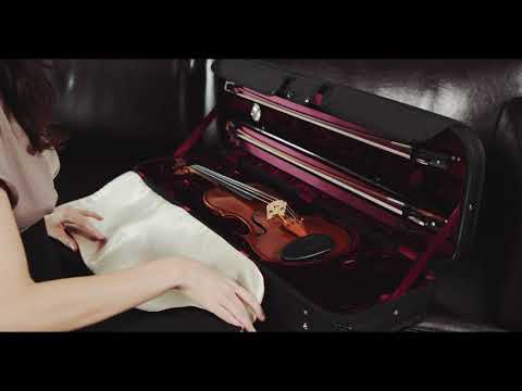 GEWA Form shaped violin case Liuteria Maestro - 1/2
