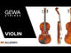 GEWA Violin Allegro - 1/4 (Set up with Wittner fine tuning tailpiece incl. violin case, carbon bow, Larsen Aurora strings)
