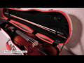PURE GEWA Form shaped violin cases Polycarbonate FUN - 4/4 - 1/2 (White / Blacj)