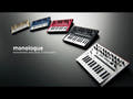 Korg Monologue Synthesizer (Sort)