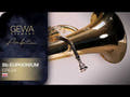 GEWA Ambition EP654 Bb-euphonium, klarlak