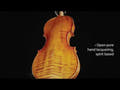 GEWA Violin Germania - 4/4 Model Prag (Set-up)