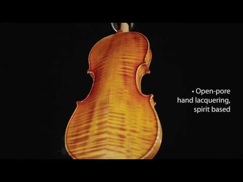 GEWA Violin Germania - 4/4 Model Prag (Set-up)
