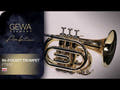 GEWA Ambition PT650 Bb-lommetrompet, klarlak