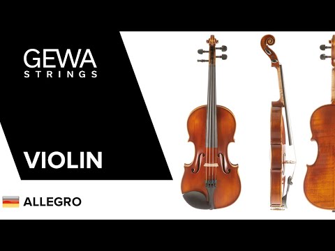 GEWA Violin Allegro - 1/4 (Ready to play incl. shaped case, carbon bow, Larsen Aurora strings, transport-secured)