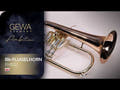 GEWA Ambition FH501 Bb-flygelhorn, klarlak
