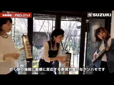 Suzuki Pro Alt Melodika (Sort)