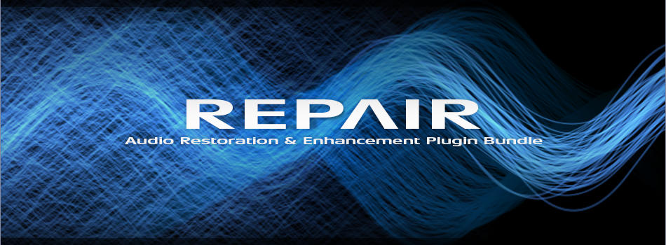 REPAIR BUNDLE