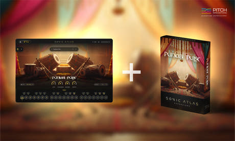Punjabi Pulse Expansion