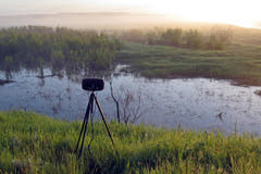 Boom Swamp STEREO