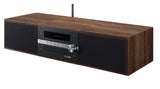 Pioneer X-CM66D Minianlæg System m. DAB+ radio